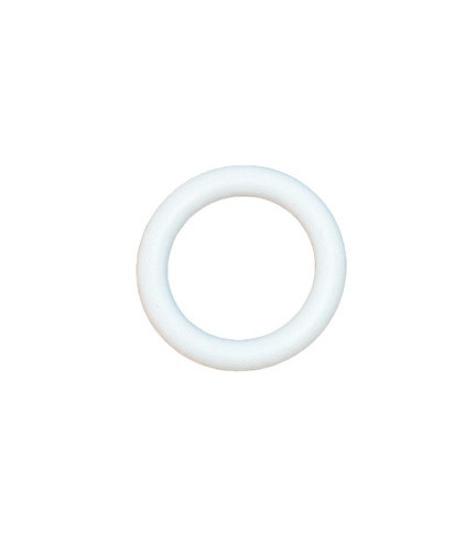 ipm-500066-o-ring