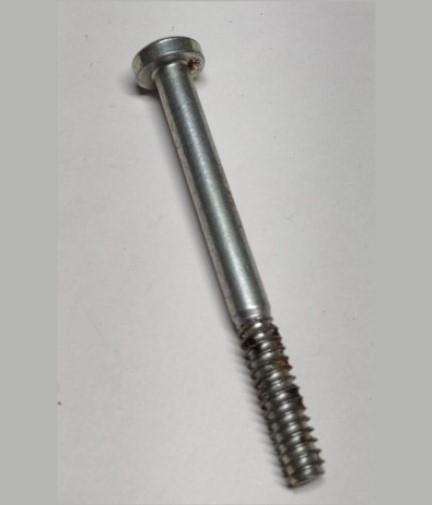 echo-cs310-v805000040-screw-5x55