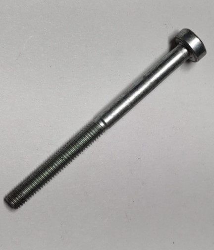 echo-cs310-v805000040-screw-5x55