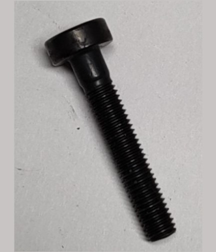 echo-cs310-v805000180-screw-5-x-30